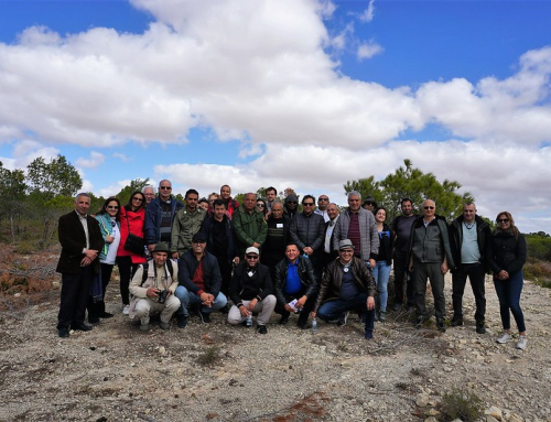 Capacity building workshop on management practices for the restoration of degraded Mediterranean forest landscapes